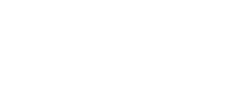 logo WHITE MONO szraf MINI V